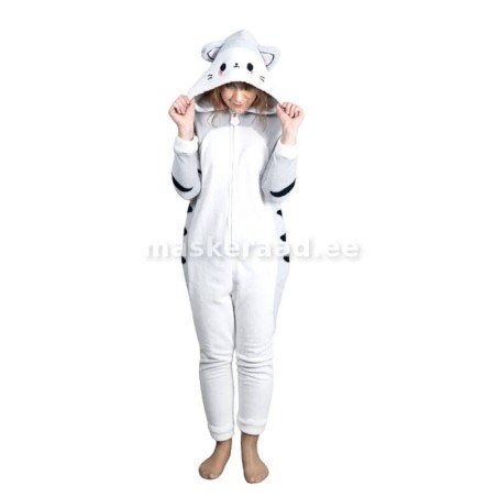 Hall kiisu miisu valge kõhuga