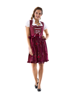 Punane peenetäpuline baieri...