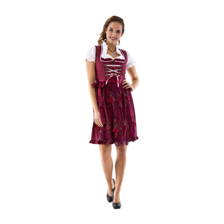 Punane peenetäpuline baieri kleidike