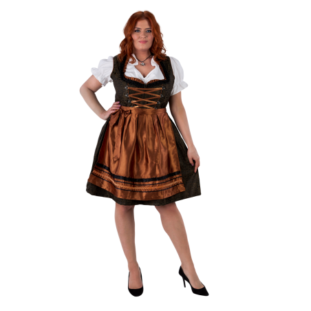 Baieri tumekuldne delux kleit atlas põllega