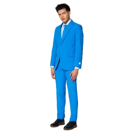 ..Erksinine piduülikond