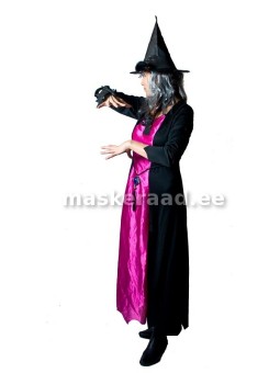 Halloween, nõid lilla...