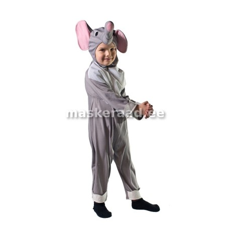 The elephant, a small