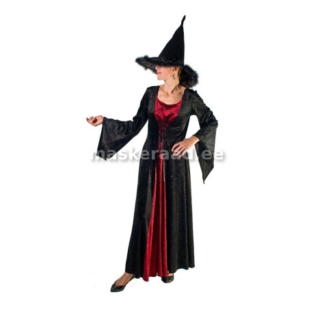 .Keskaegne nõiduslik aadlidaam