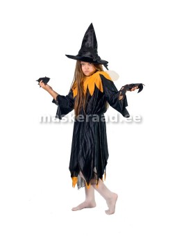 Halloween - võlur-nõid...