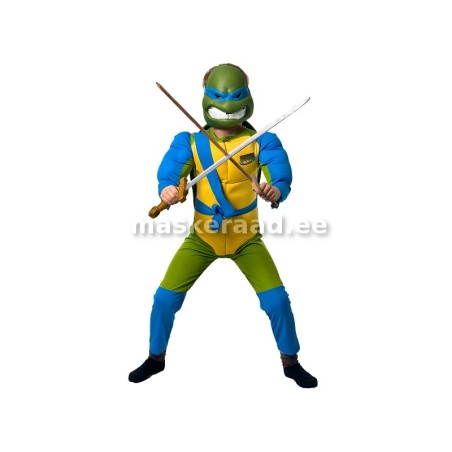 Ninja-kilpkonn sinises