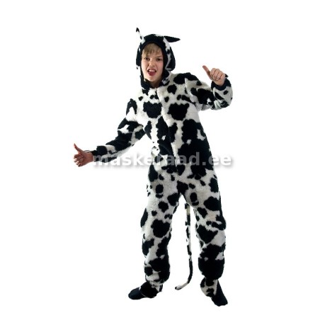 Koer, Dalmaatsia, suurem