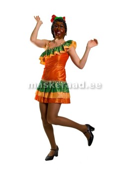 Sambakarnevali kleit,...