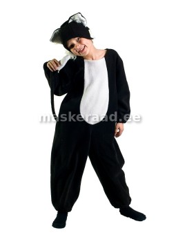 Cat black, white stomach