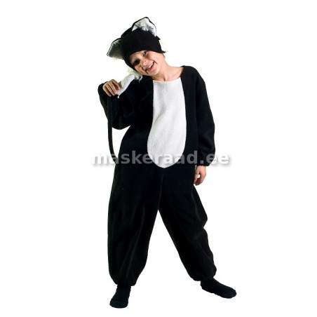 Cat black, white stomach