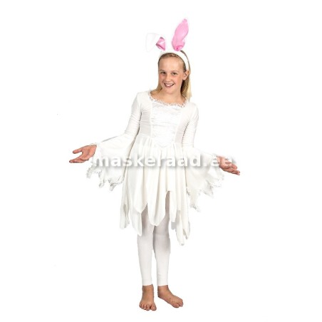 Jänes valges kleidis