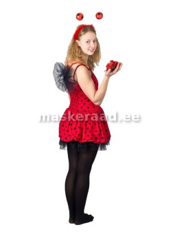 Lepatriinu täpilises...