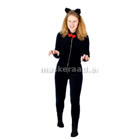 Кошка черная, с красным галстуком