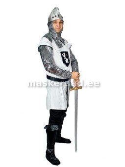 .A medieval knight in the...