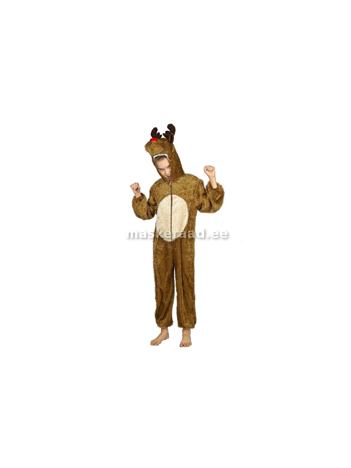 Põder heleda kõhuga