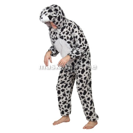 Koer, dalmaatsia, suurte