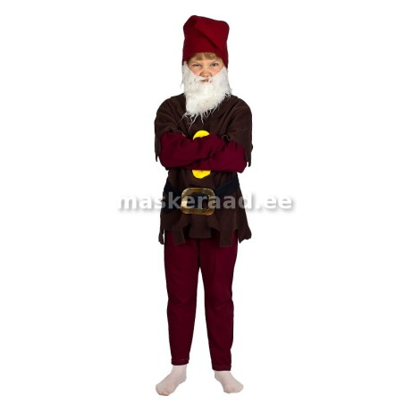 Pöialpoiss Toriseja