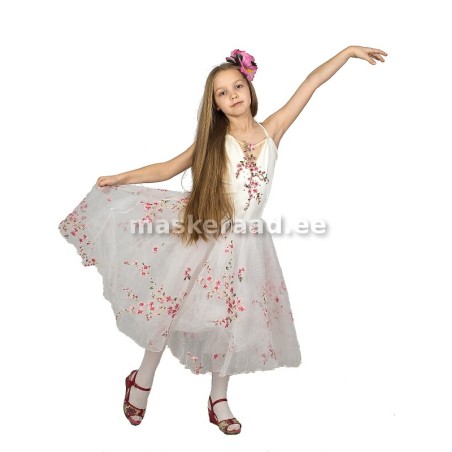 The fairy õhkõrnas balletikleidis