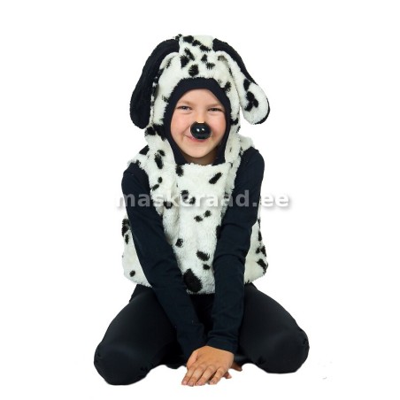 Koer, dalmaatsia vestiga