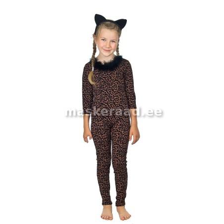 A cat in a black täpilises right