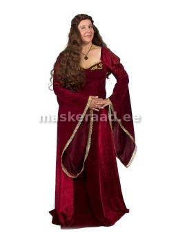 .Keskaegne lossidaam...