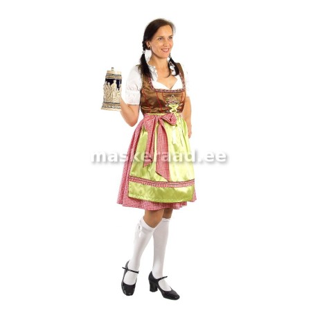 Baieri neiu pruuni pihiku ja punaseruudulise seelikuga