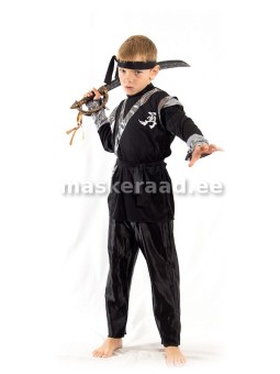 The Ninja in black, silvery...