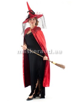 Halloween, nõid uhke...