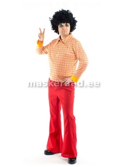 70-ndate meeste hipi...