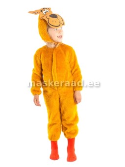 Koer, kollaka karvaga