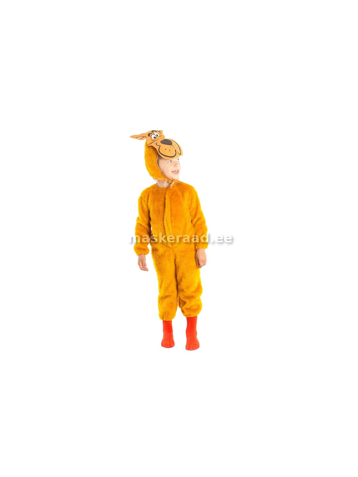 Koer, kollaka karvaga