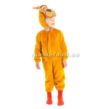 Koer, kollaka karvaga