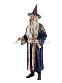 Halloweeni võlur Dumbledore...