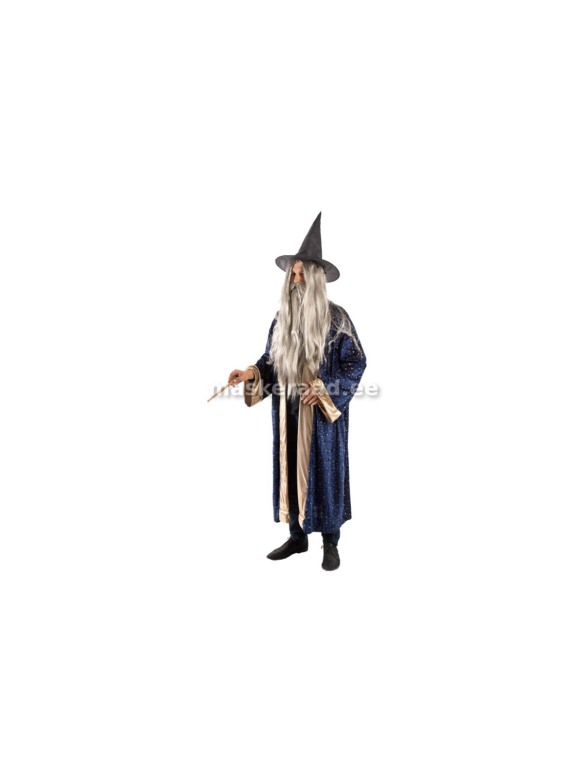 Halloweeni võlur Dumbledore sinises sametmantlis