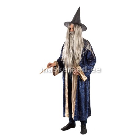 Halloweeni võlur Dumbledore sinises sametmantlis