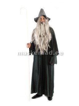 Halloweeni võlur Gandalf...