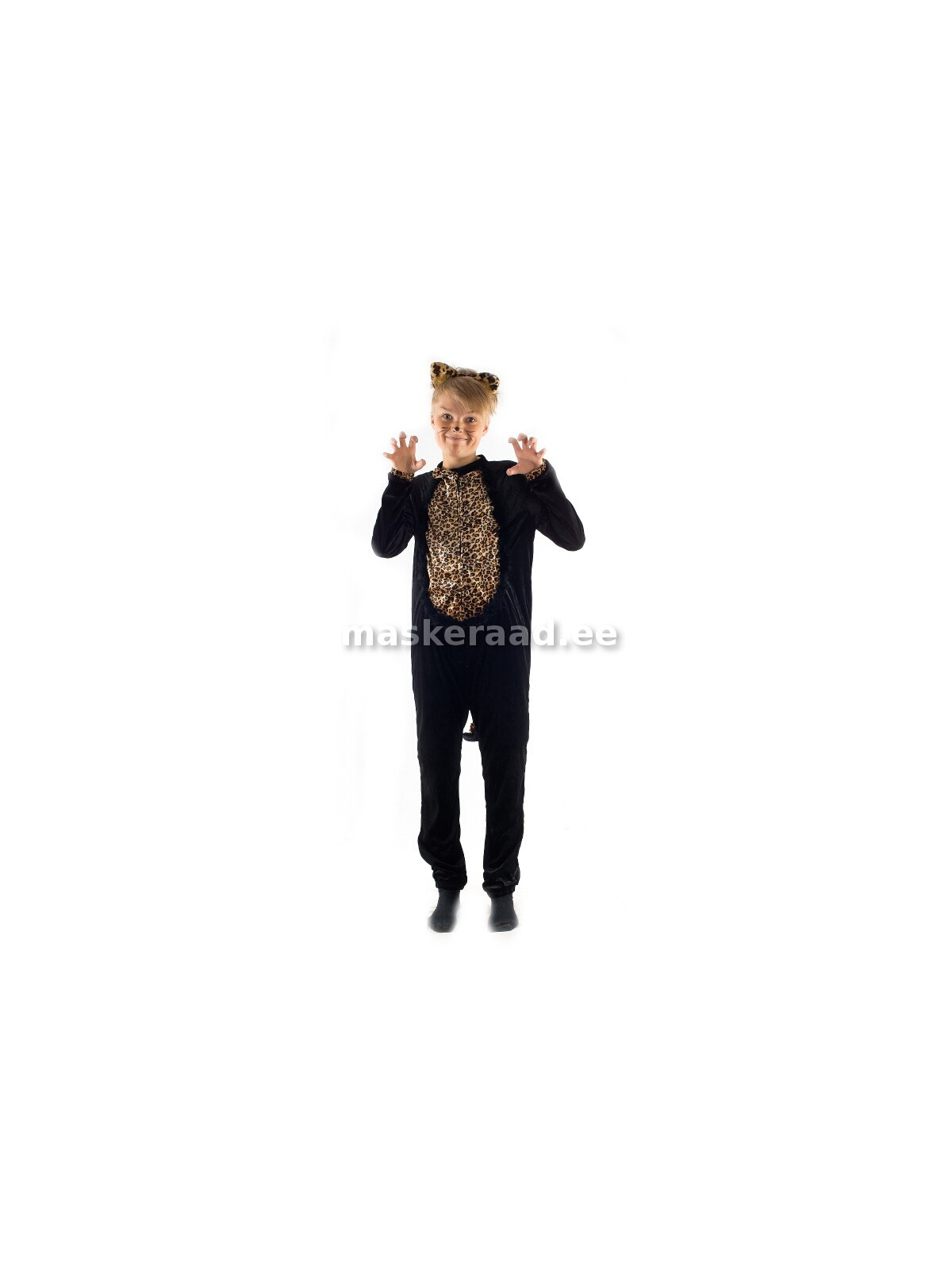 Kass, must pruunikirju kõhuga