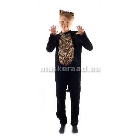 Kass, must pruunikirju kõhuga