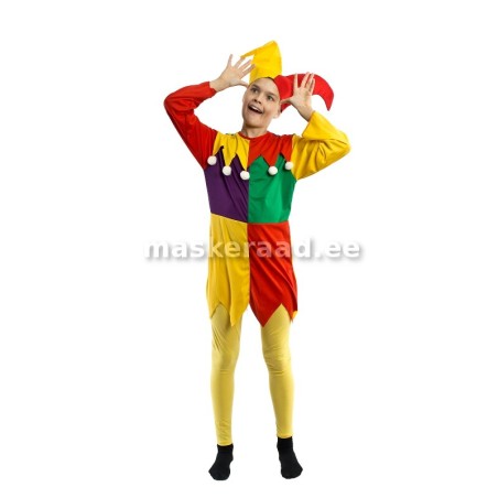 Kloun, narr suureruudulise pluusiga