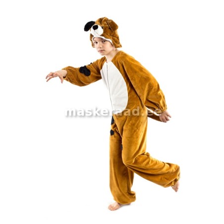 Koer pruun, valge kõhuga