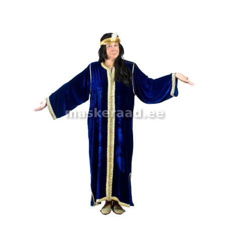 Idamaine kaunitar sinises sametrüüs