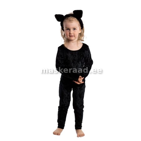 Kass mustas sametkombes, väike