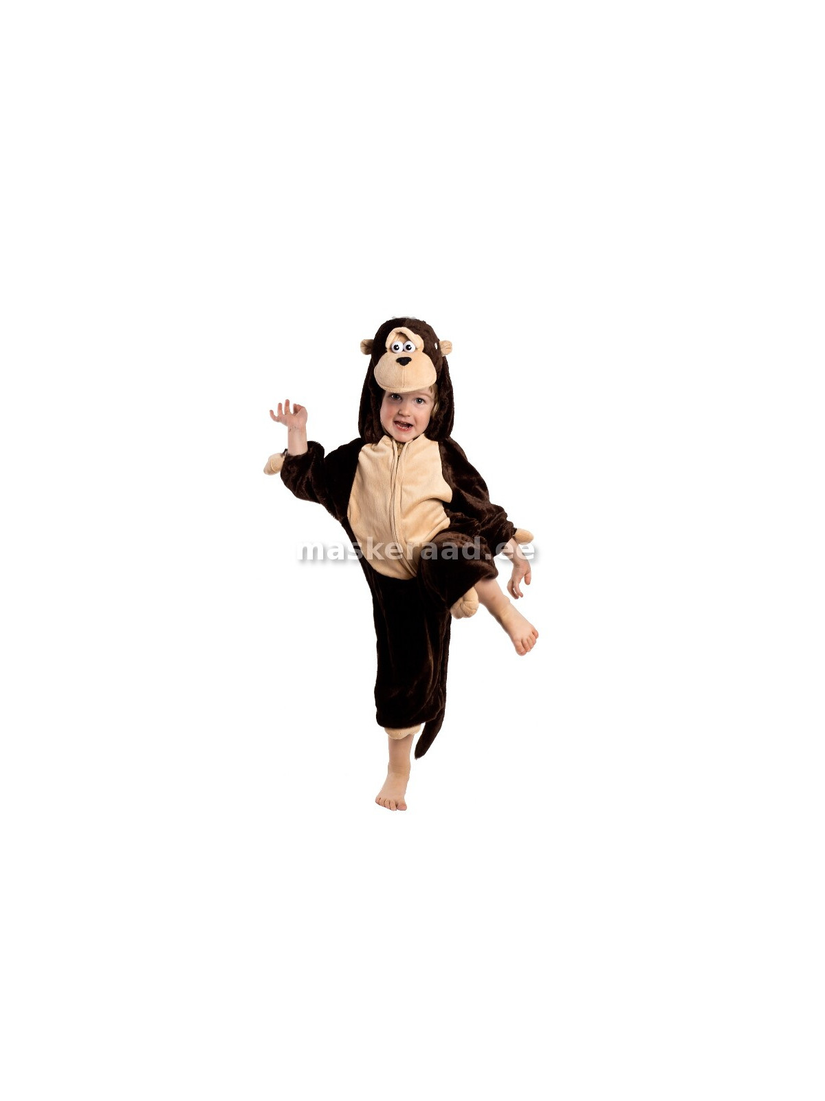 Ahv, tumepruun, kreemika kõhuga