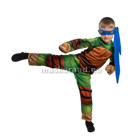 Ninja-kilpkonn pruuni kilbi ja turvistega