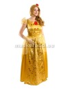 .Printsess kuldses kleidis