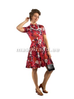 60-70-ndad punaselilleline...