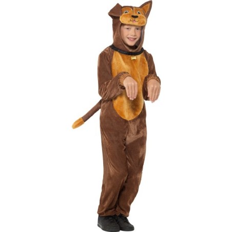 Koer puun, helepruuni kõhuga