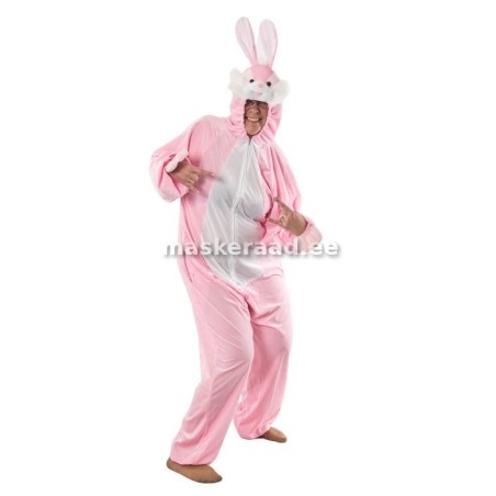 Roosa valge kõhuga jänes täiskasvanutele