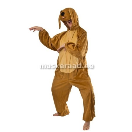 Pruun koer kollaka kõhuga