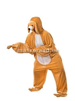 Helepruun koerake valge kõhuga